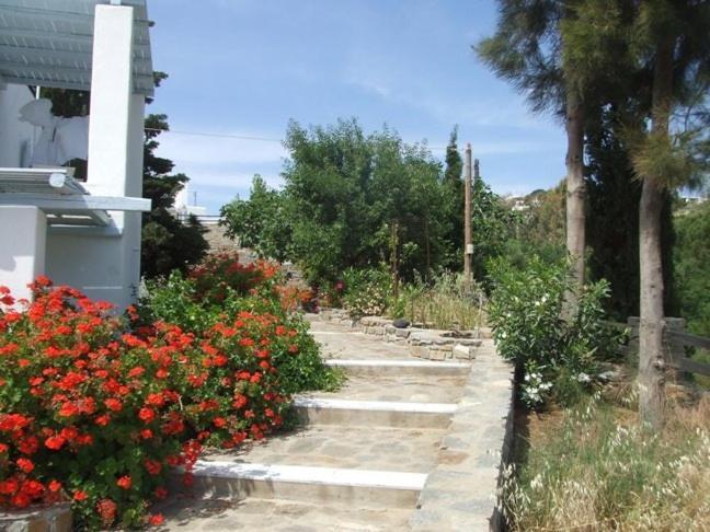 Villas Georgy Paro Esterno foto